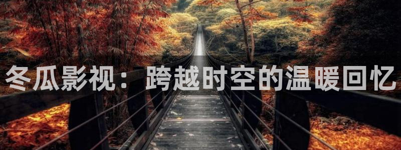 遂宁保利万和国际影城：冬瓜影视：跨越时空的温暖回忆