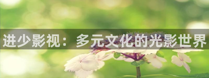 保利剧场：进少影视：多元文化的光影世界