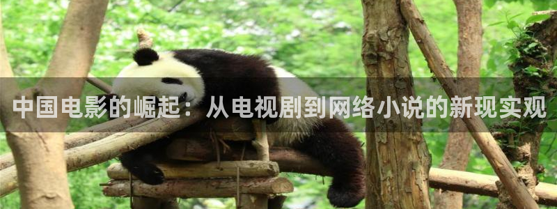 保利万和影院：中国电影的崛起：从电视剧到网络小说的新现实观